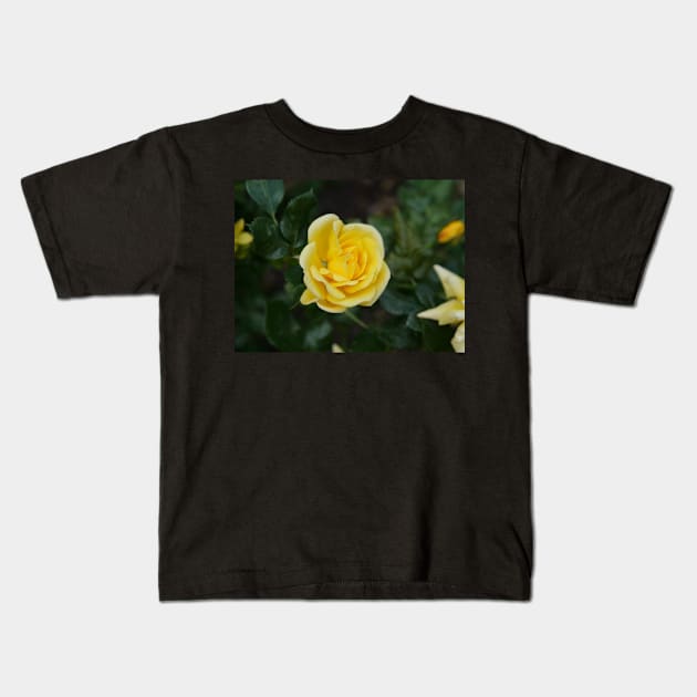 Yellow rose flower Kids T-Shirt by fantastic-designs